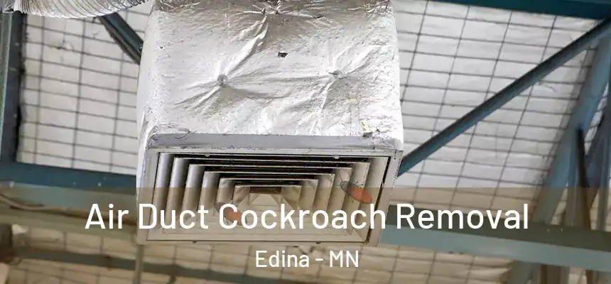 Air Duct Cockroach Removal Edina - MN