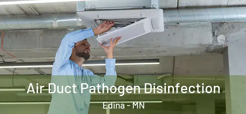 Air Duct Pathogen Disinfection Edina - MN
