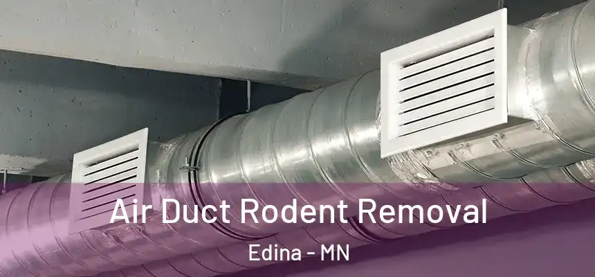 Air Duct Rodent Removal Edina - MN