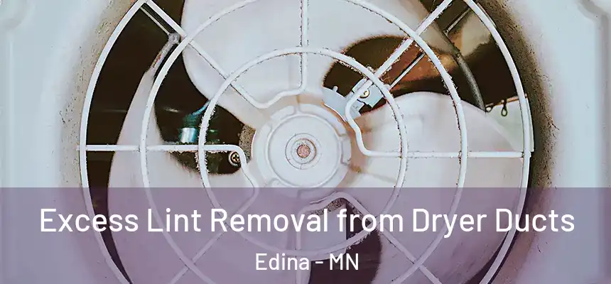 Excess Lint Removal from Dryer Ducts Edina - MN
