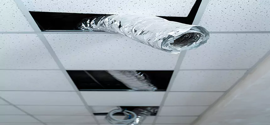 Our Air Duct Pet Hair Removal Services in Edina, MN