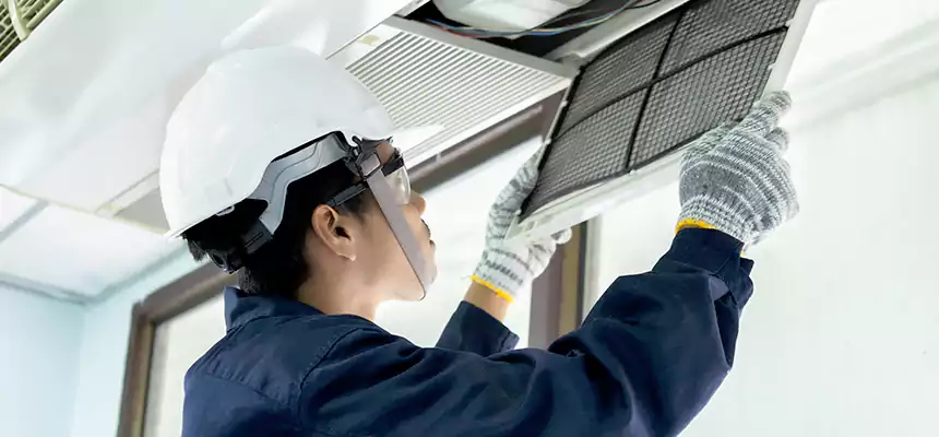 Our Mold & Mildew Removal from Air Ducts Services in Edina, MN