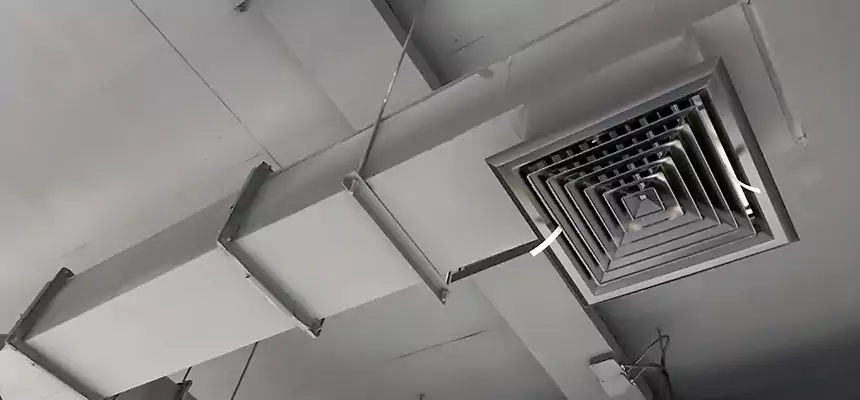 Our Rodent Droppings In Vents Services in Edina, MN