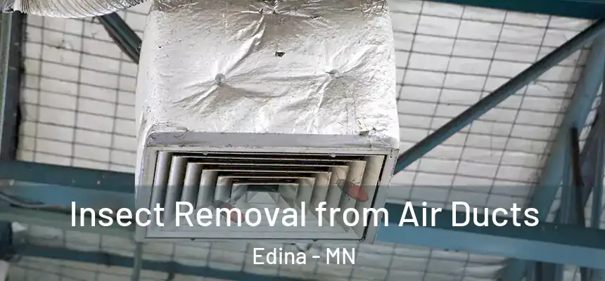 Insect Removal from Air Ducts Edina - MN