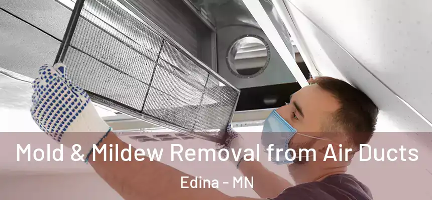 Mold & Mildew Removal from Air Ducts Edina - MN
