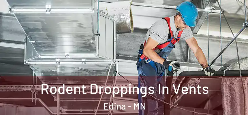 Rodent Droppings In Vents Edina - MN
