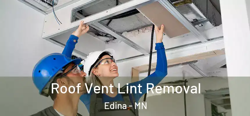 Roof Vent Lint Removal Edina - MN