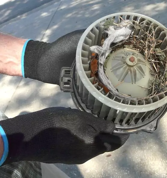 About Air Duct Rat Removal in Edina, MN