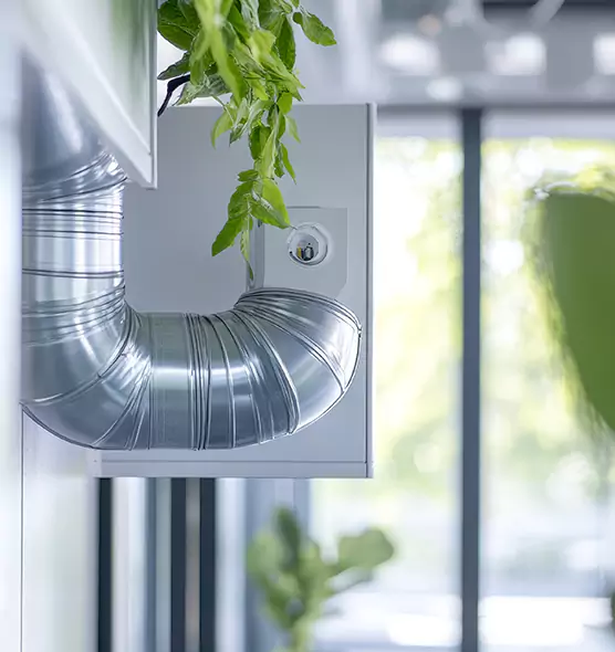 Professional Eco-Friendly Duct Cleaning Services in Edina, MN