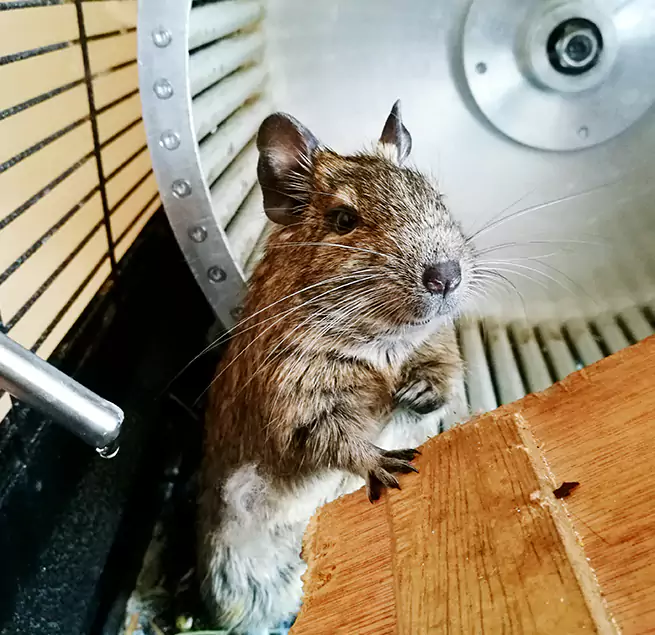 Why Homeowners & Businesses Trust Us Edina, MN