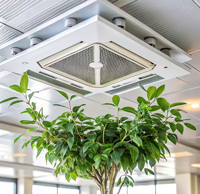 Why Homeowners & Businesses Trust Us in Edina, MN?