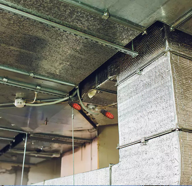 Why Homeowners & Businesses Trust Us Edina, MN?