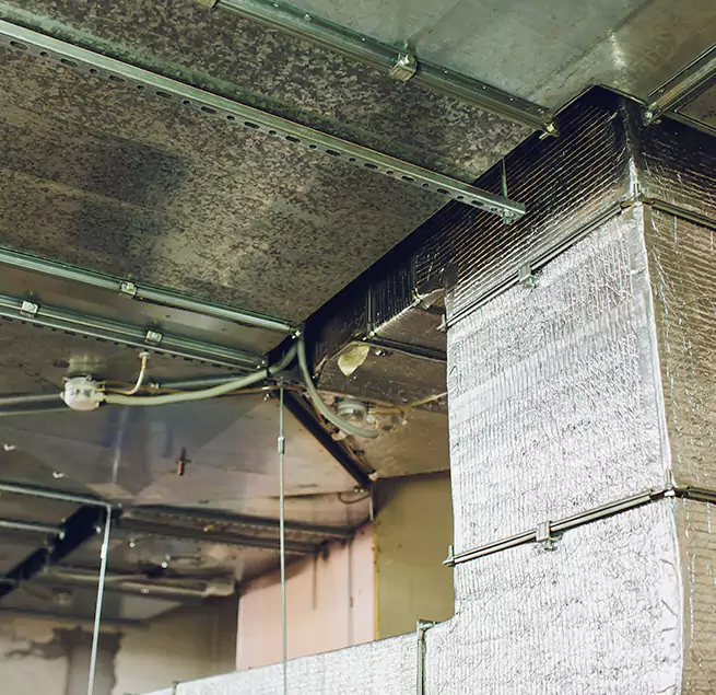 Why Homeowners & Businesses Trust Us in Edina, MN?